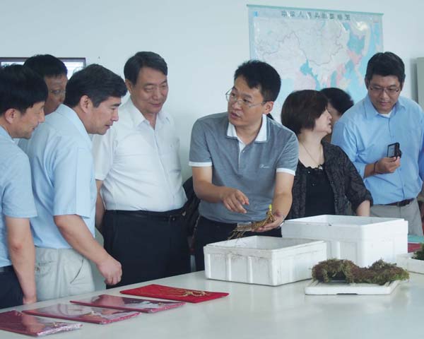 2013��ɰ��J(r��n)�ɘI(y��)��(w��)��ӑ��(hu��)����߅���_(k��i)